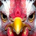 agentdeals logo