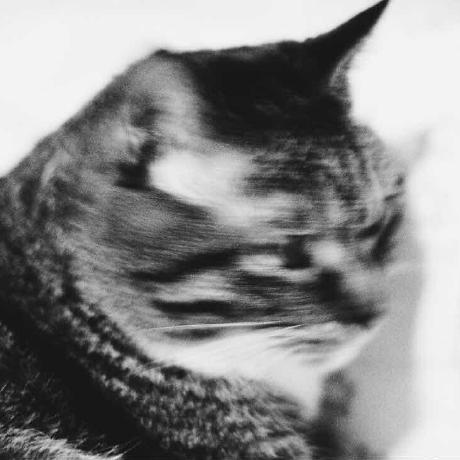 awesome-mcp-servers logo